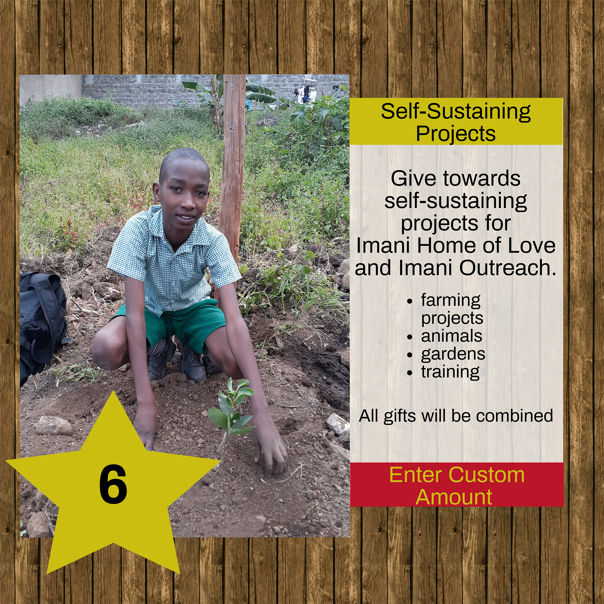 Self-Sustaining Projects